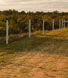The Road
