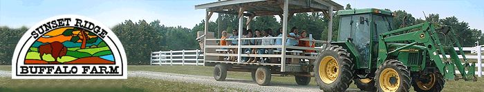 Sunset Ridge Buffalo Farm, LLC Tour