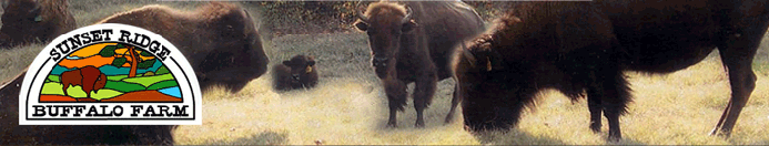 Gallery Header