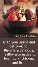 Recipes Available